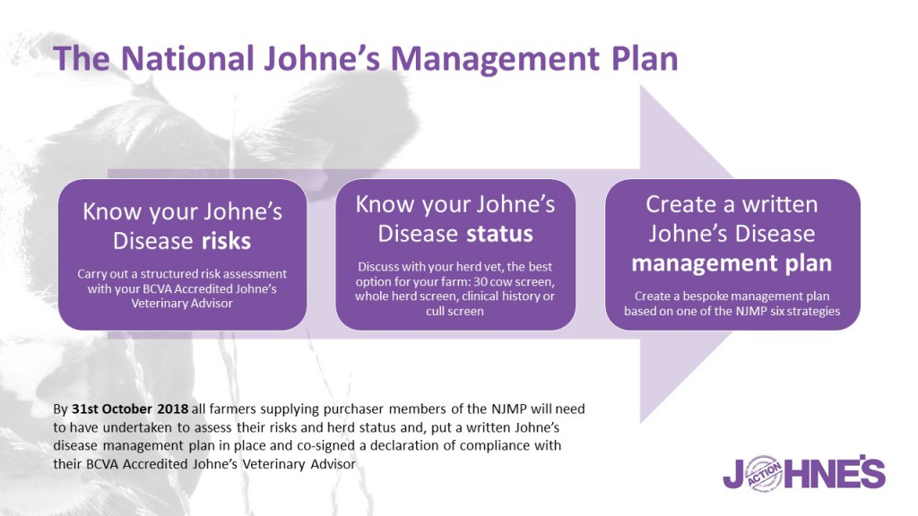 Infographic-know your risk,status and management plan